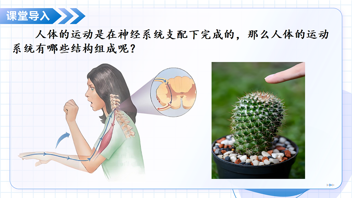 18475375第7页