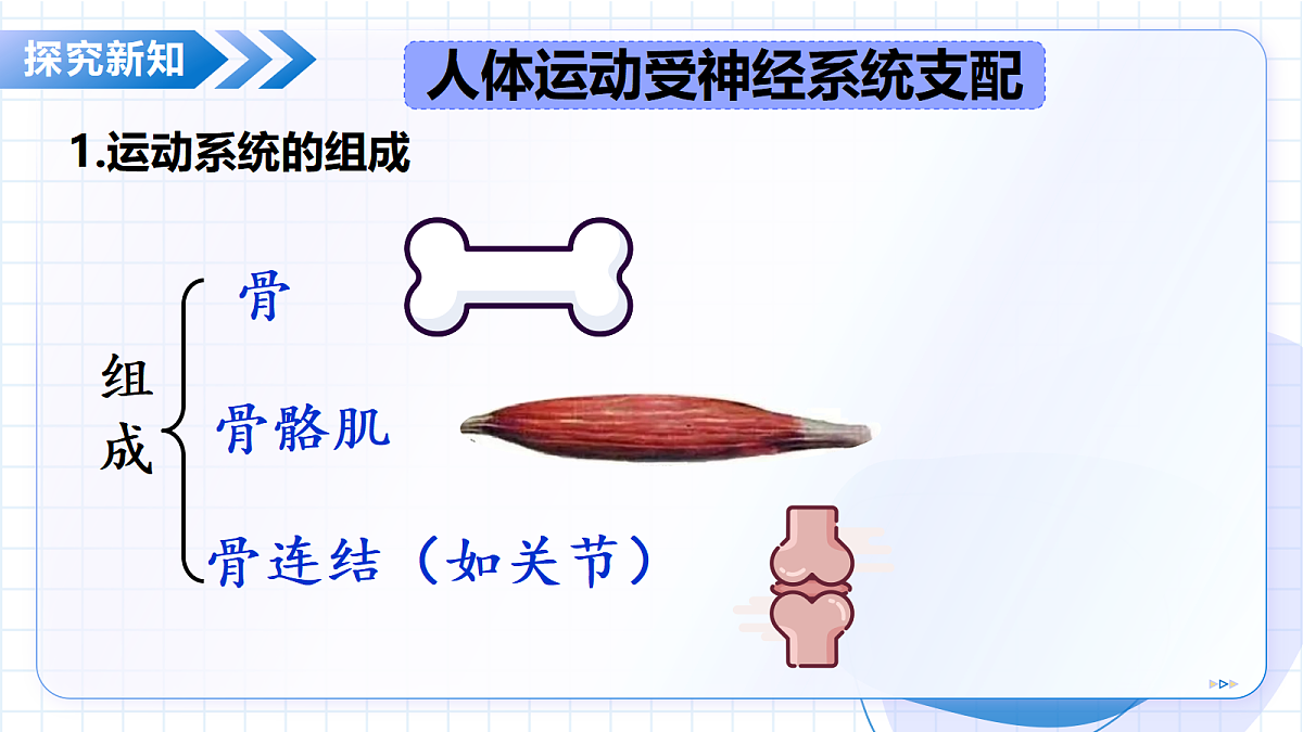 18475375第8页