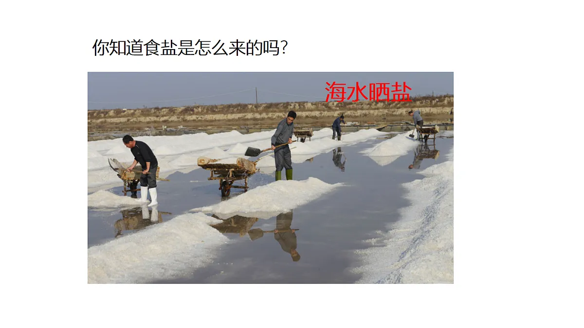 18476222第3页