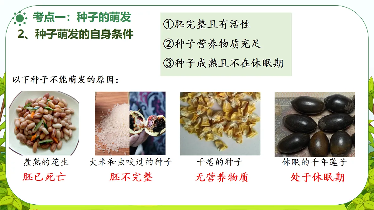 18476429第4页