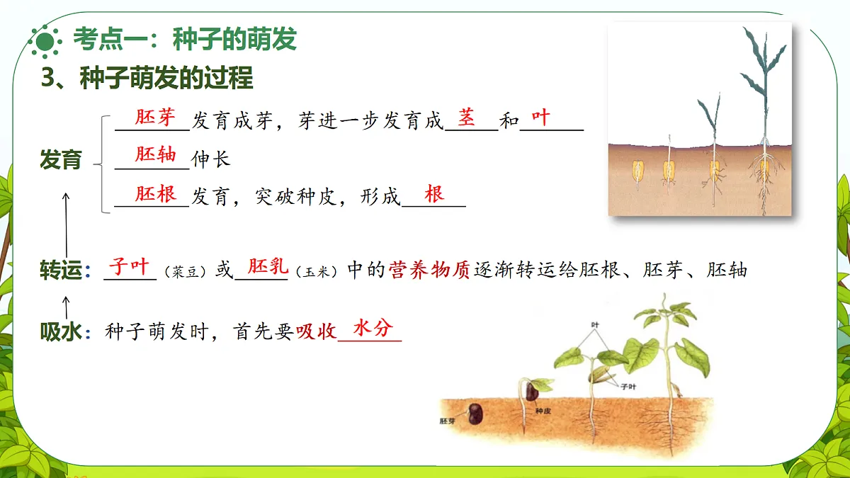 18476429第5页