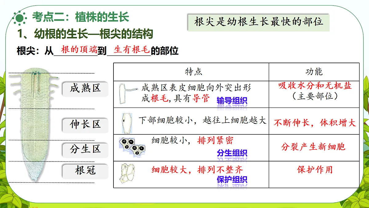 18476429第7页