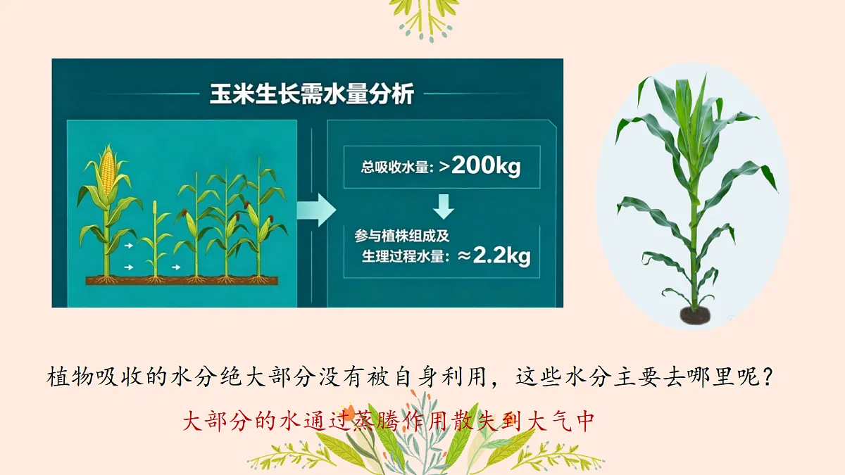 18476835第4页