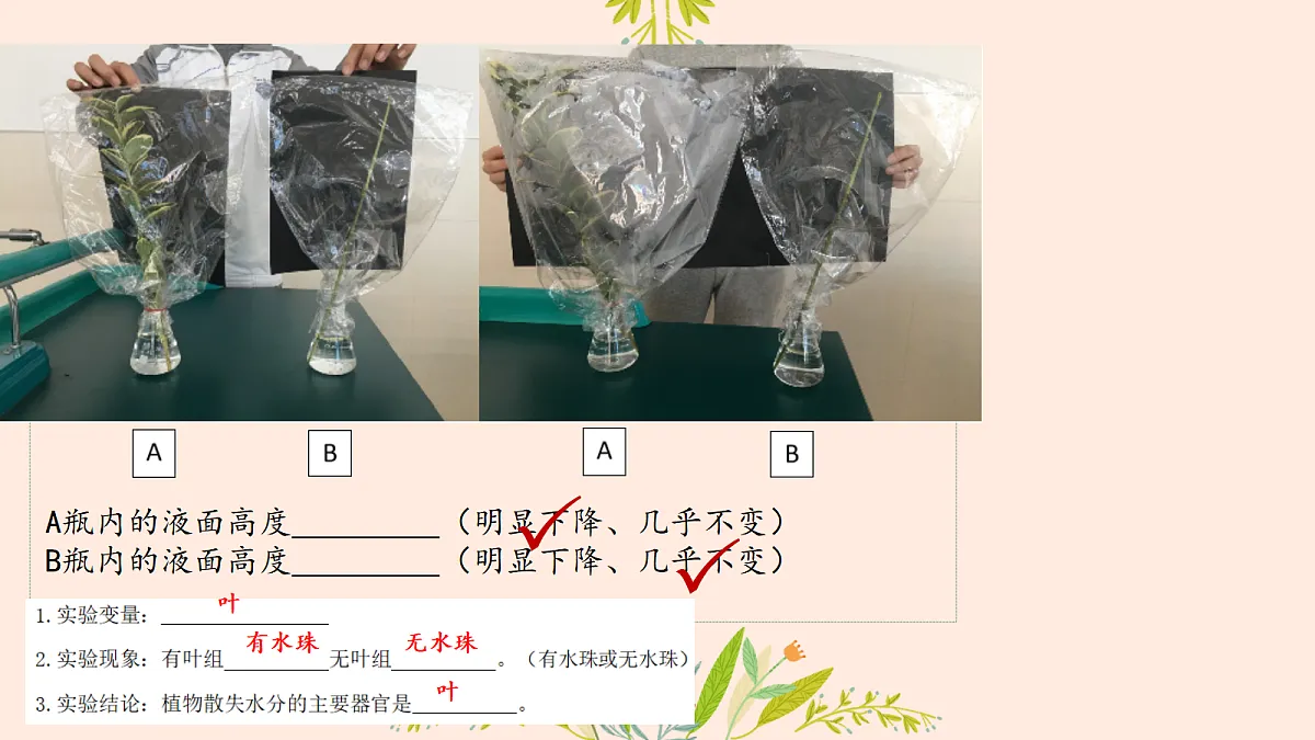 18476835第7页