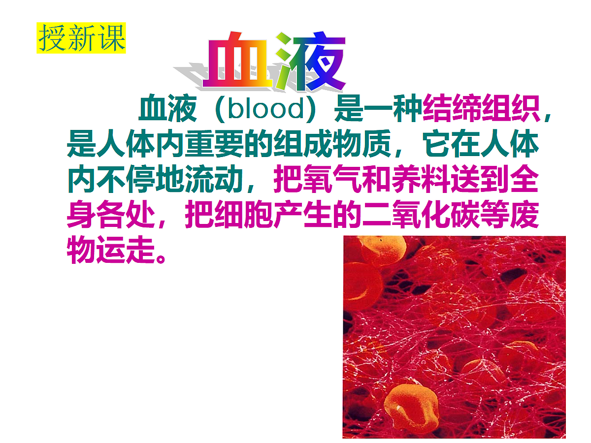 18477490第3页