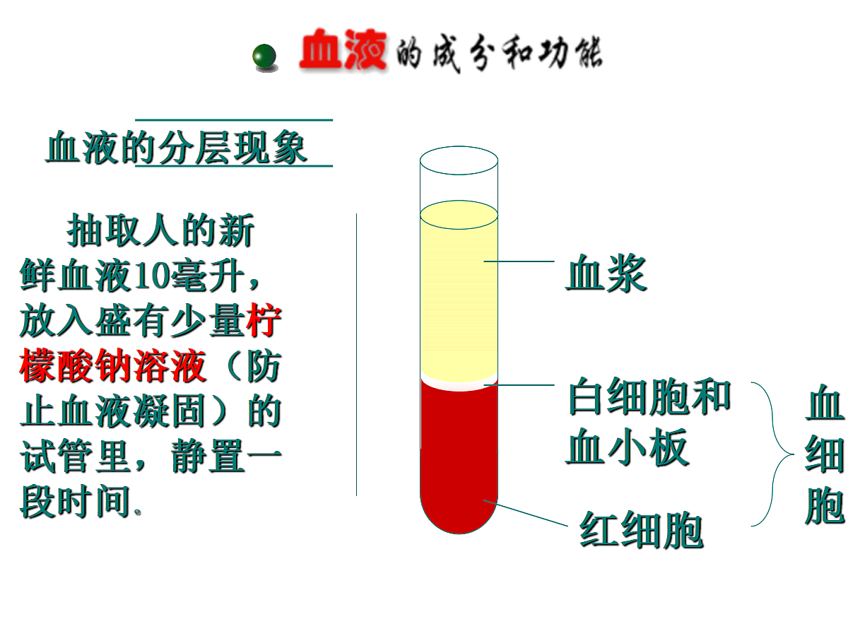 18477490第4页