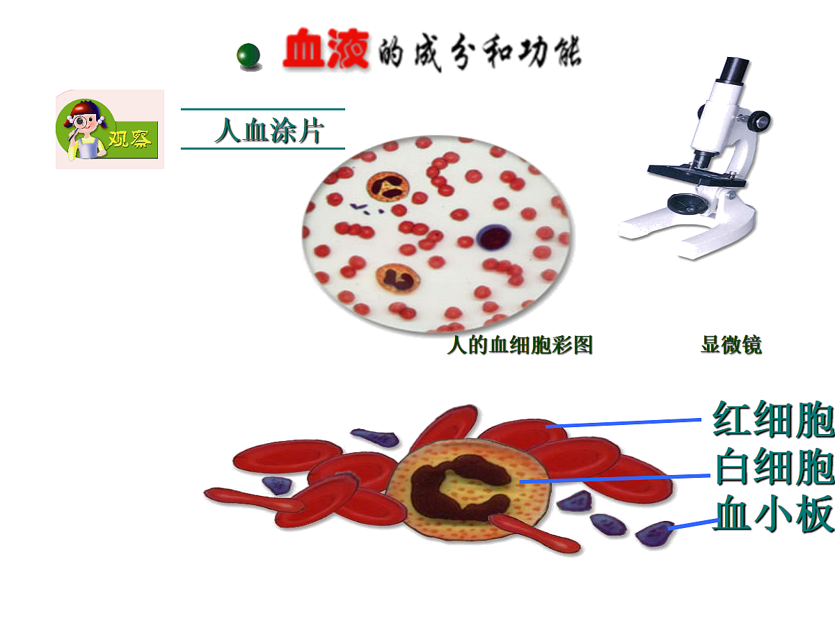 18477490第7页