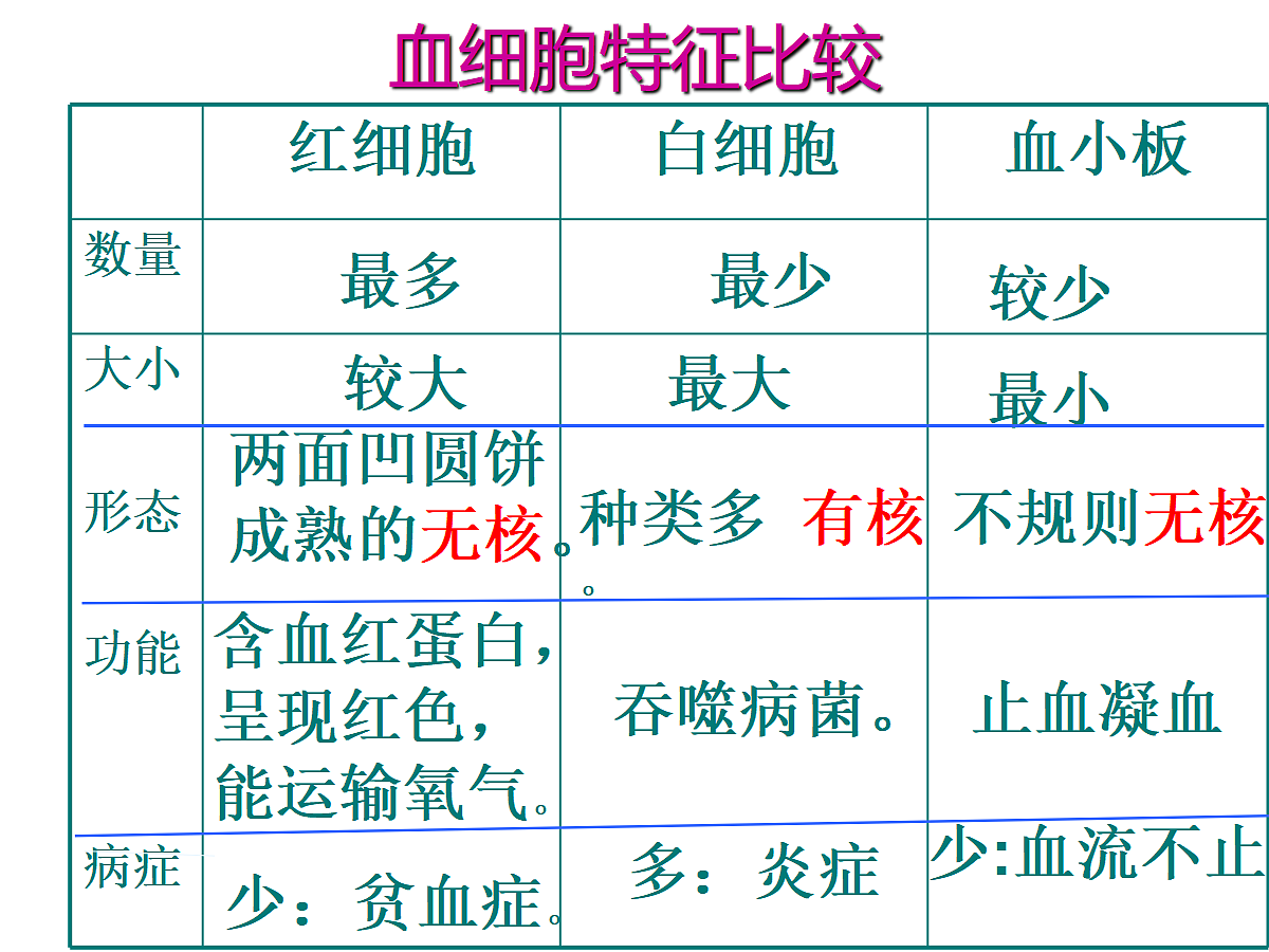 18477490第8页