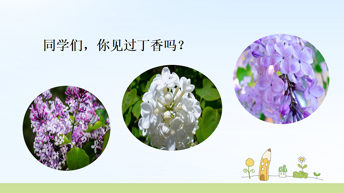 18478623第2页