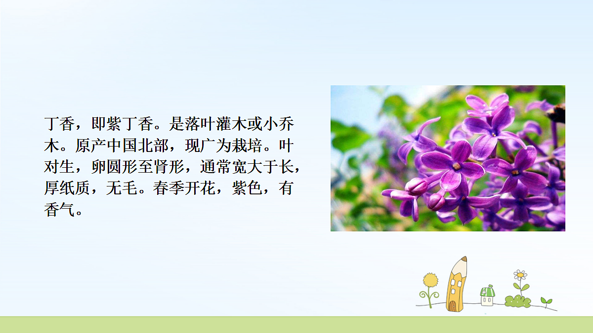 18478623第3页