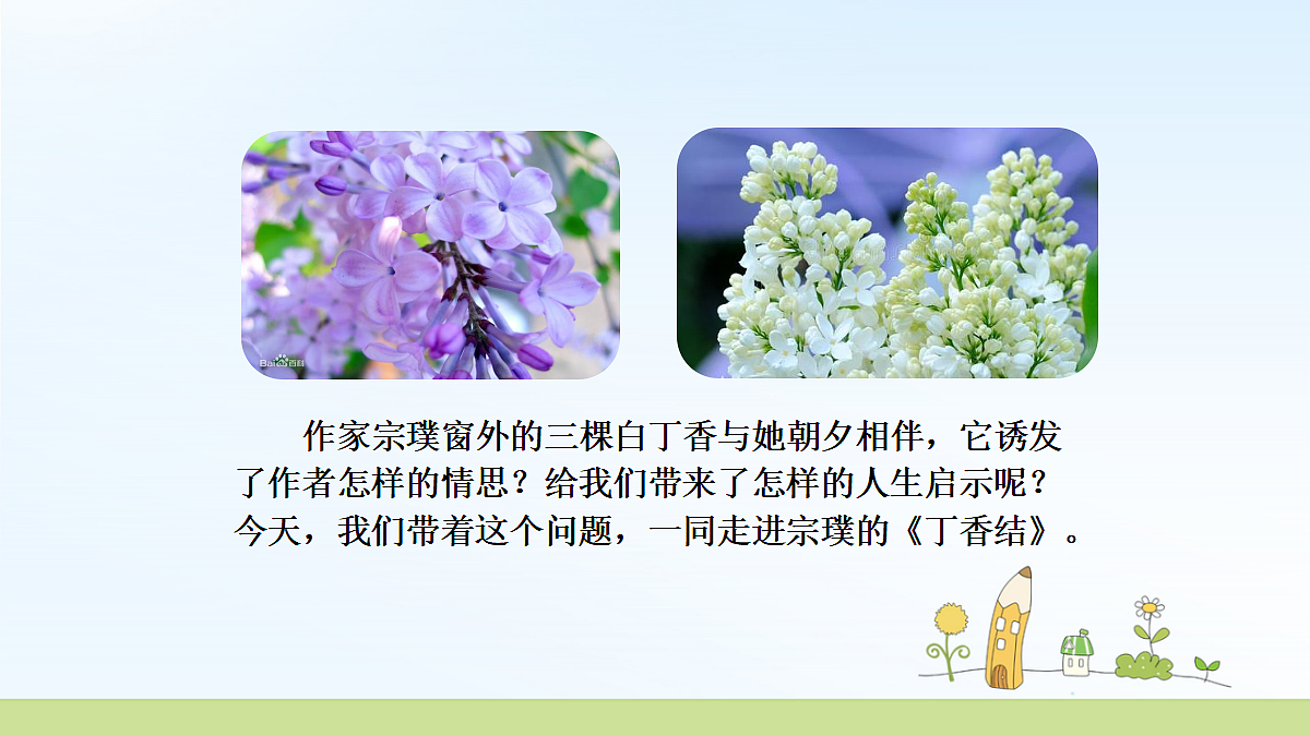 18478623第5页