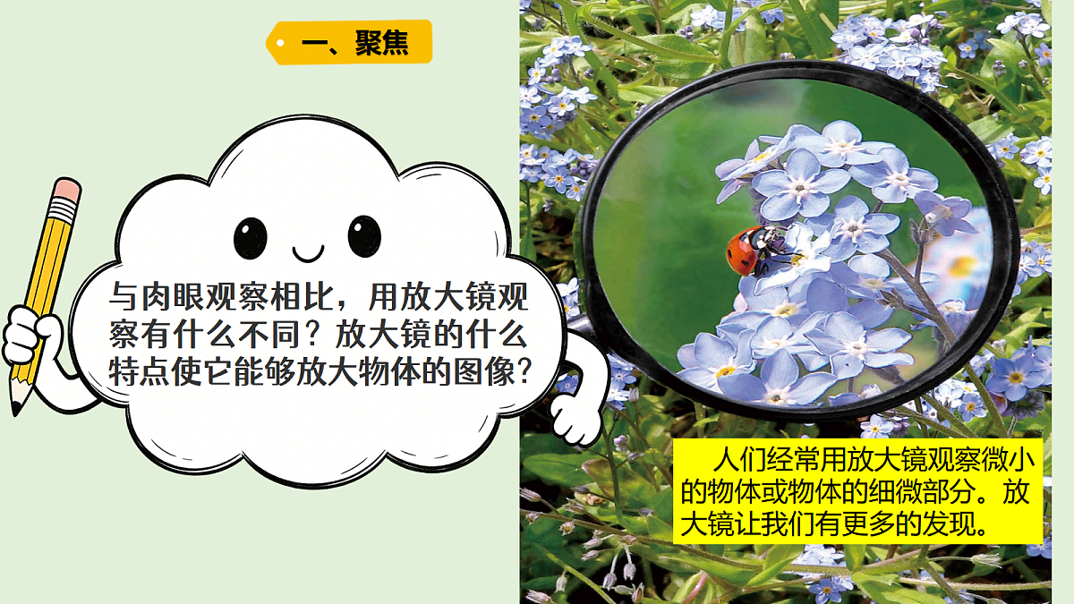18479389第2页