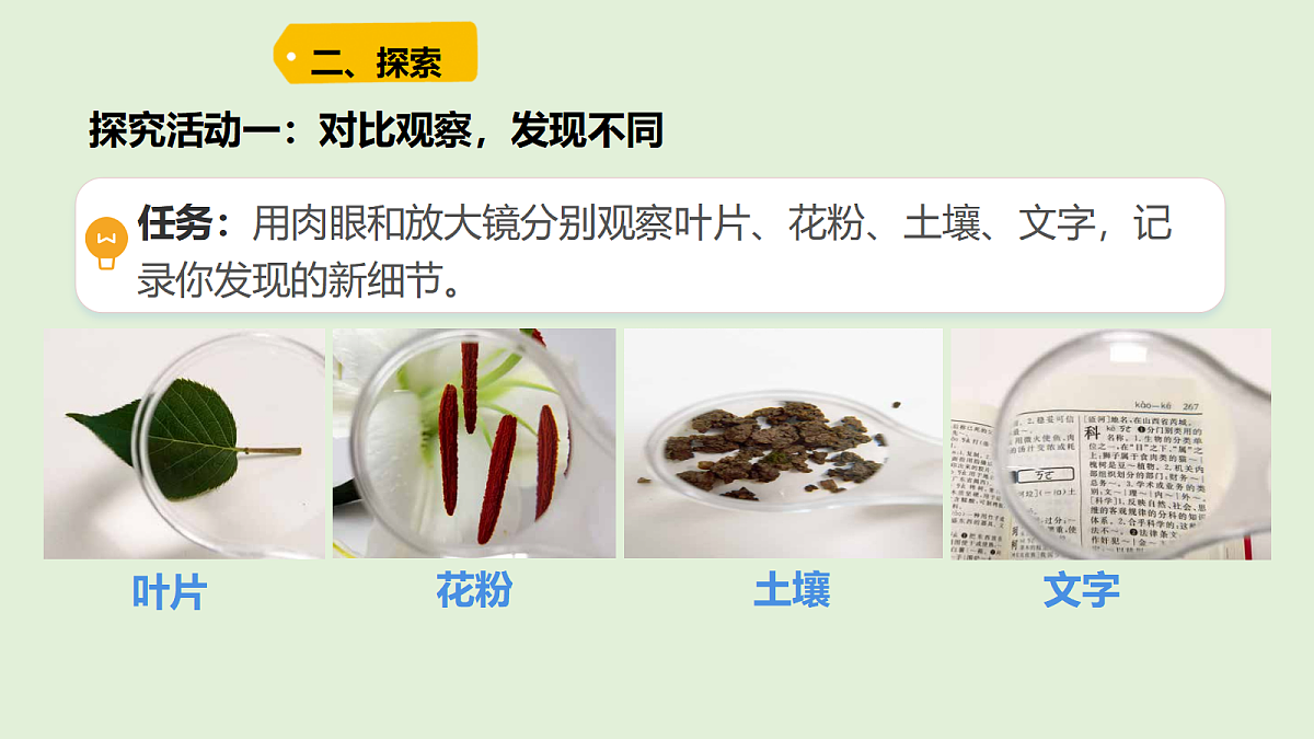 18479389第3页