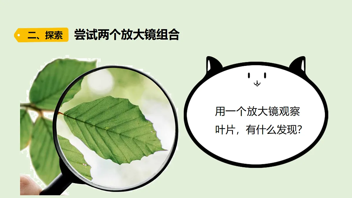 18479391第3页