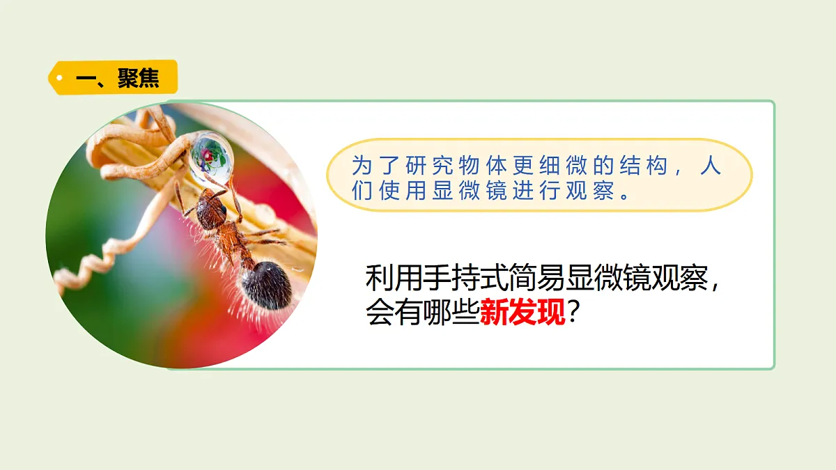 18479393第3页