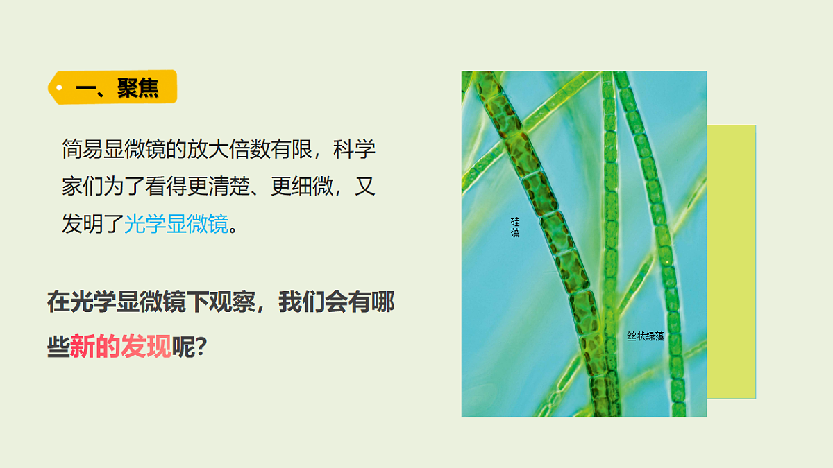 18479395第2页