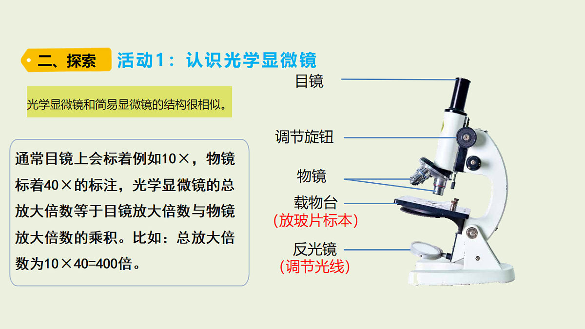 18479395第3页