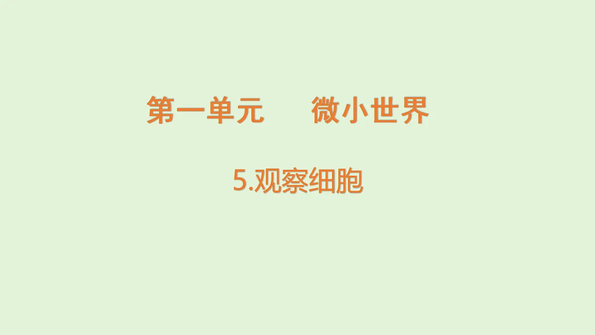 18479397第1页