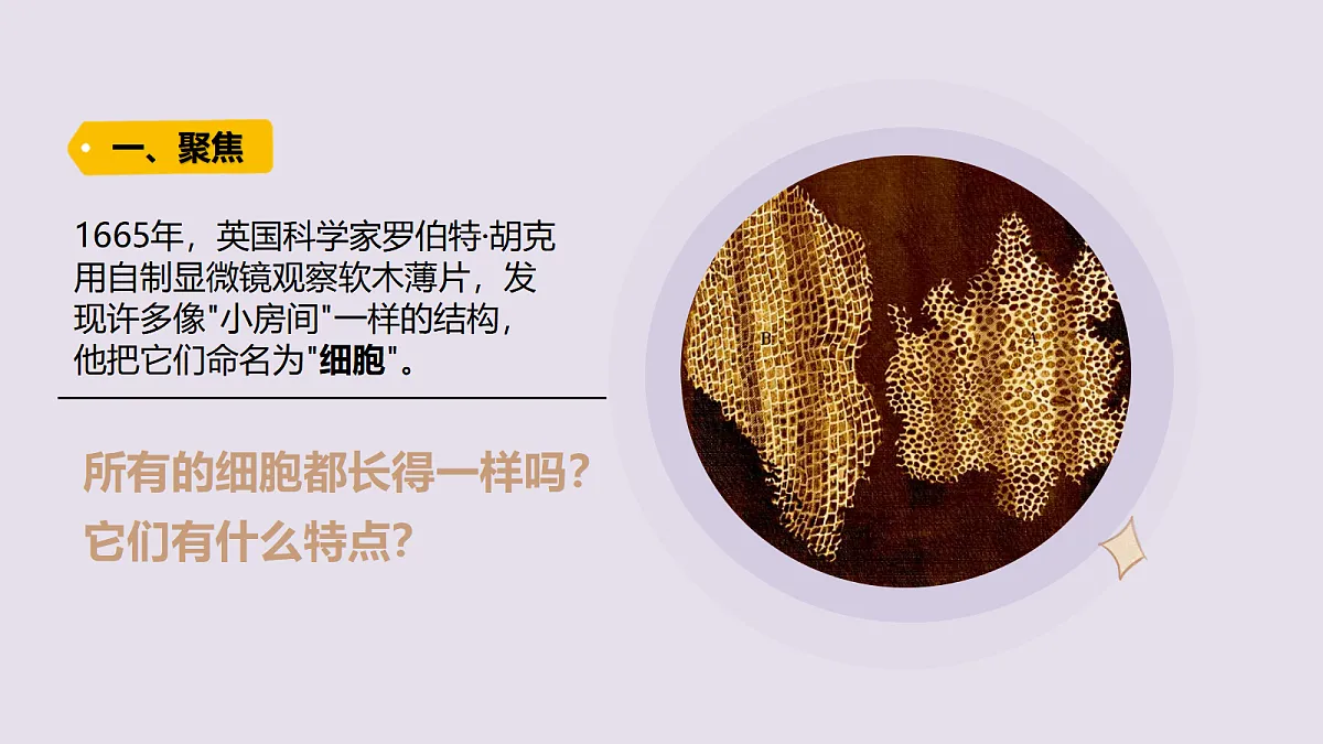 18479397第2页