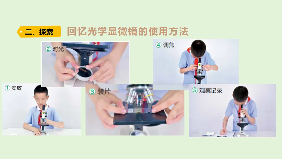 18479397第3页
