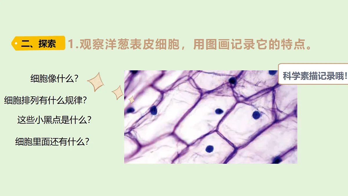 18479397第4页