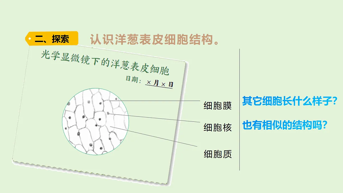 18479397第5页