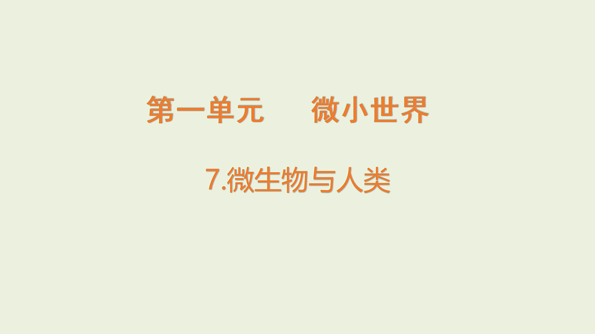 18479399第1页