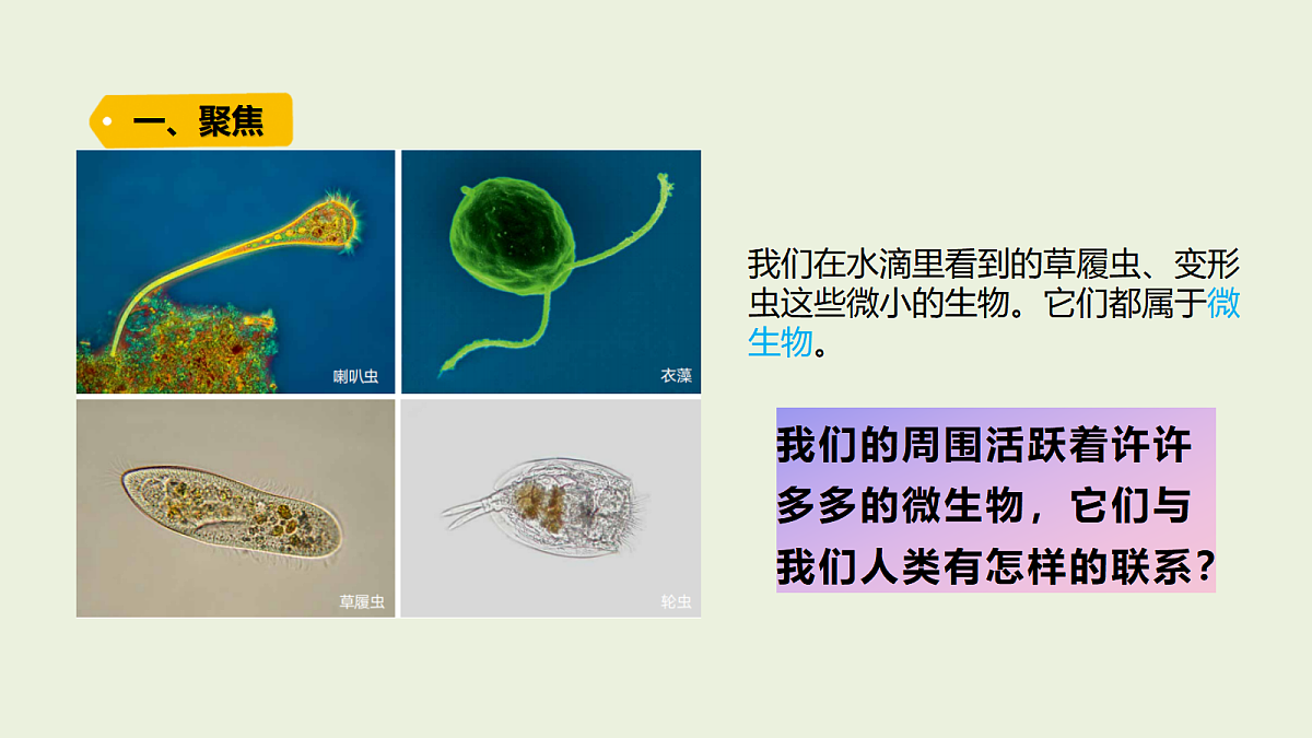 18479399第2页