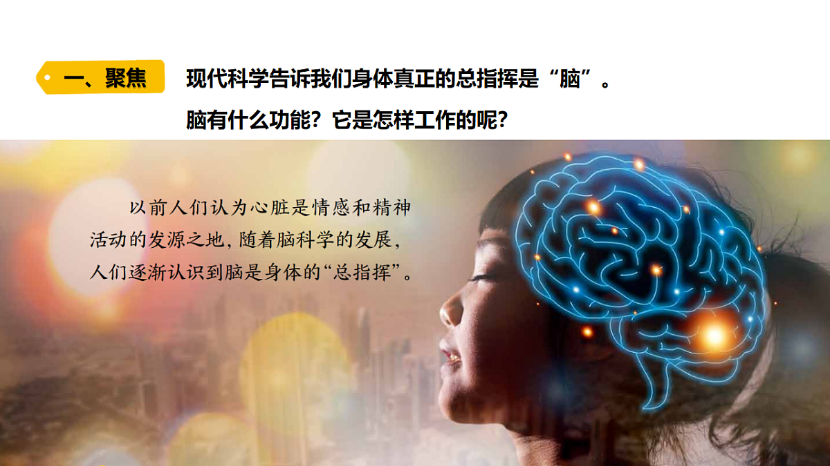 18479454第2页