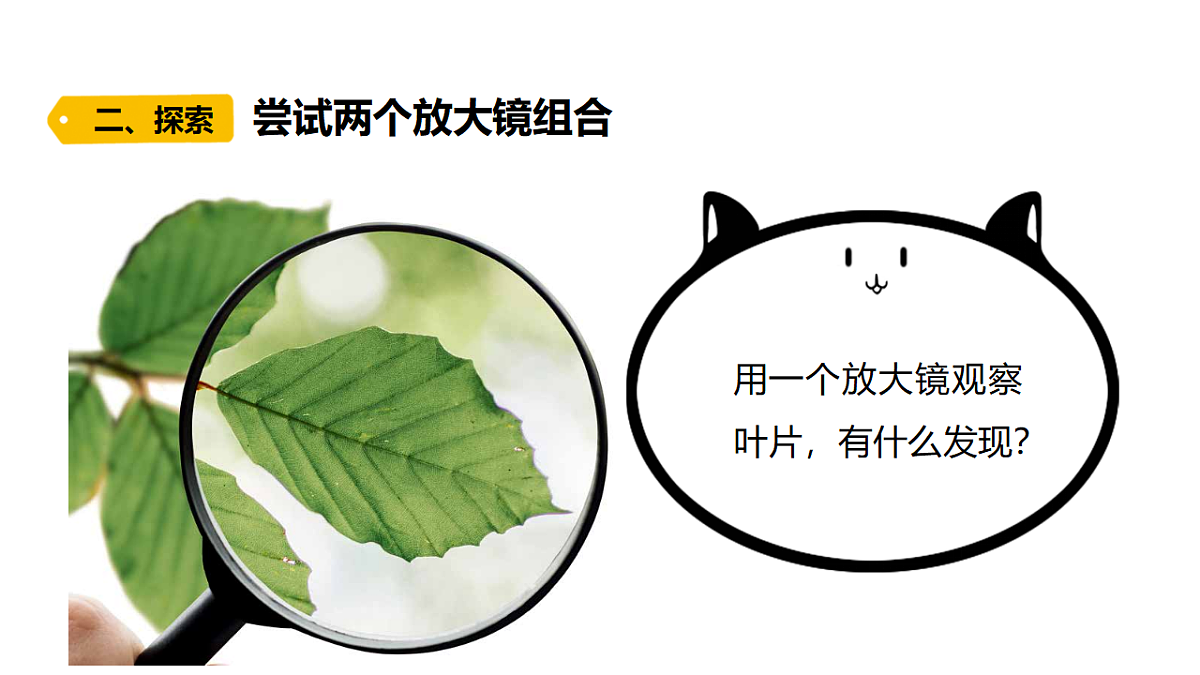 18479492第5页