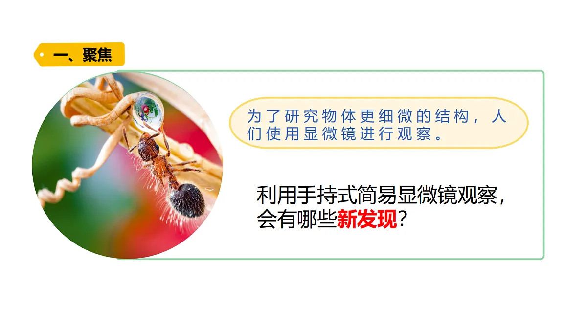 18479493第5页
