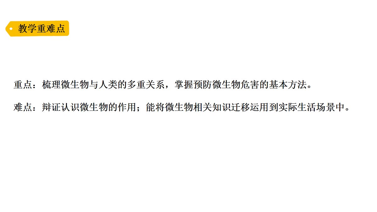 18479496第3页