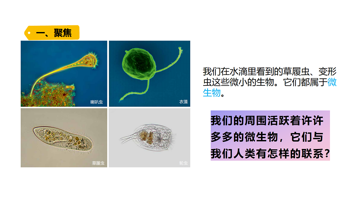 18479496第4页