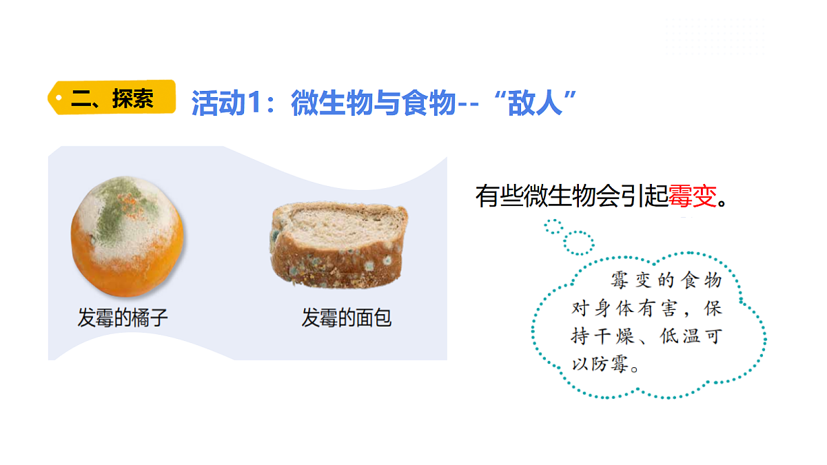 18479496第8页