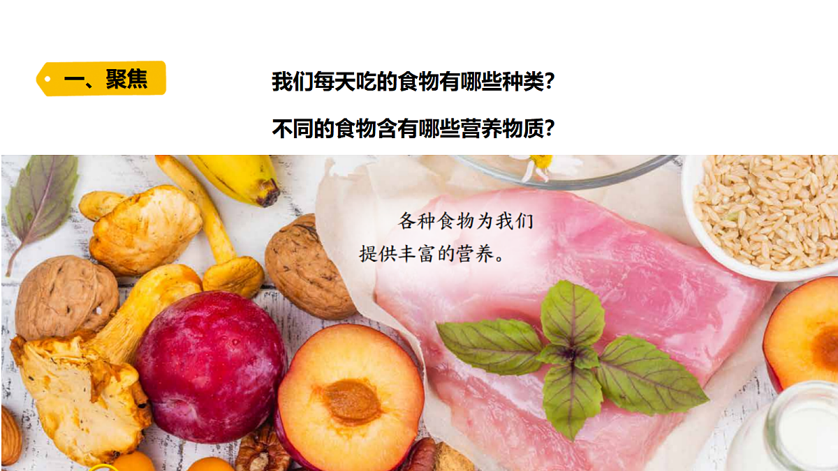 18479497第4页