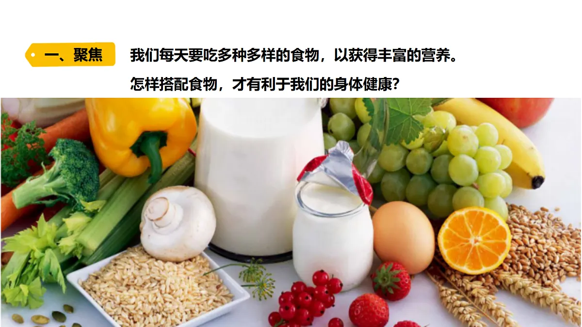 18479498第4页