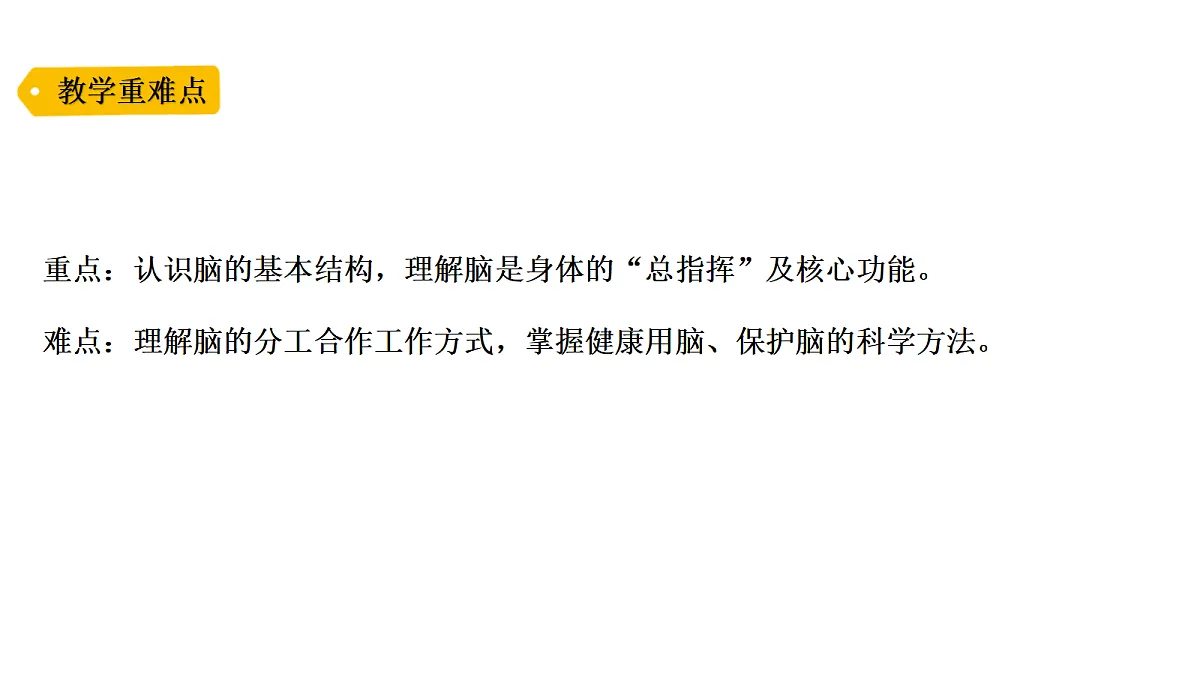 18479499第3页