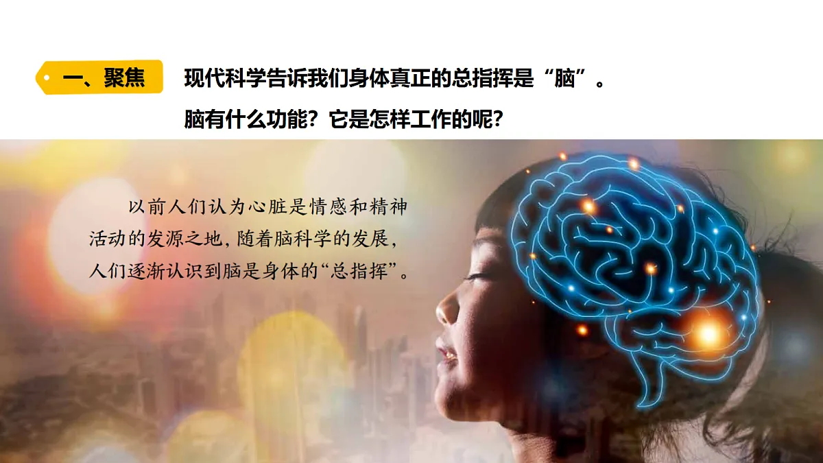 18479499第4页