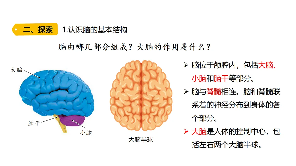18479499第5页