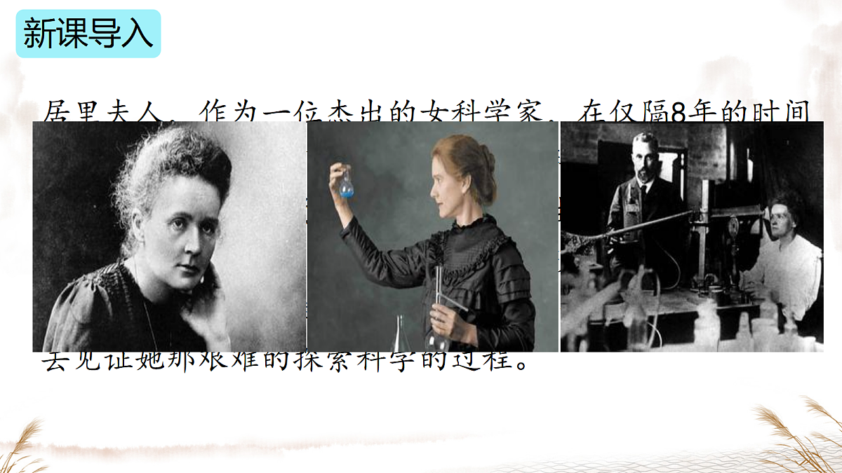 18479638第3页