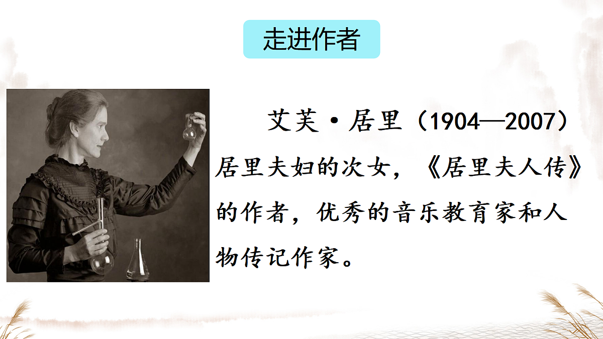 18479638第4页