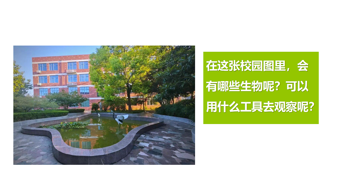 18479792第5页