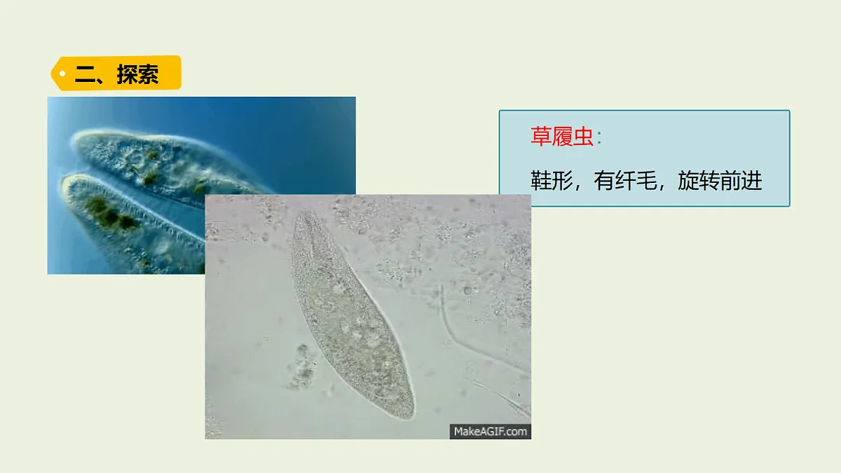 18479797第6页