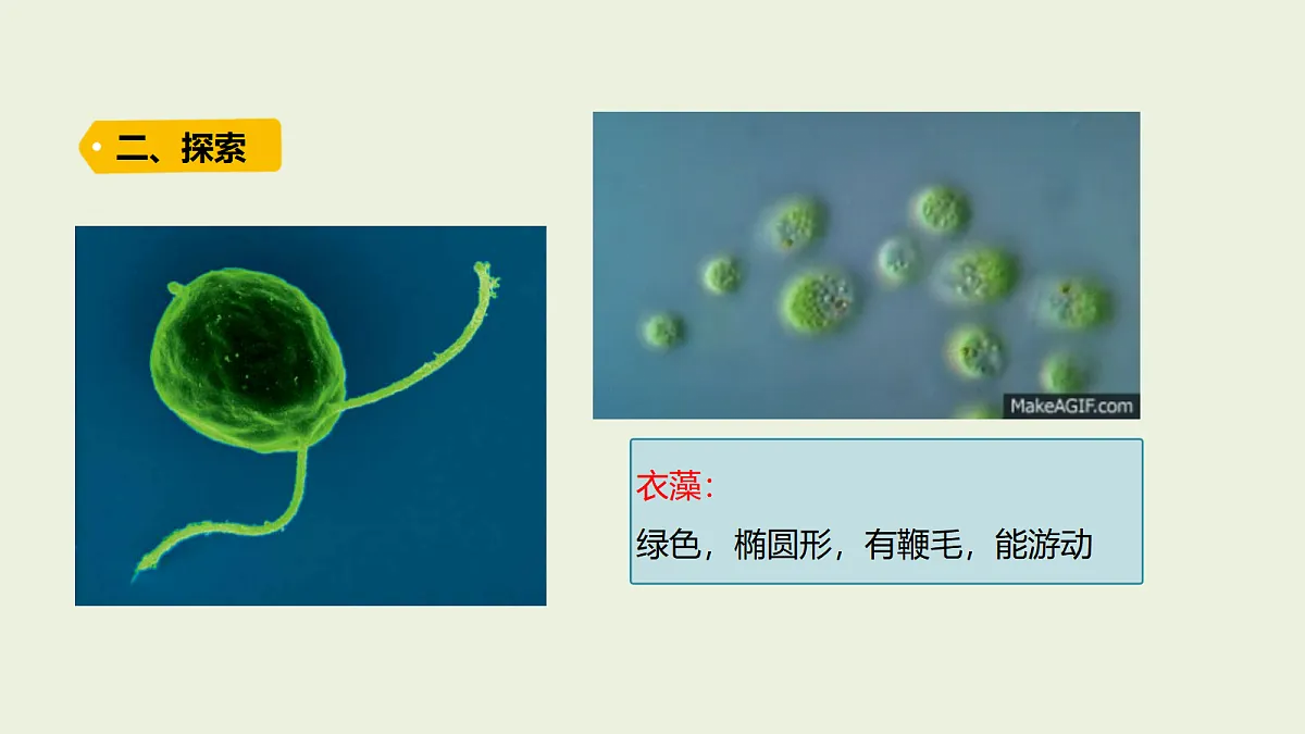 18479797第7页