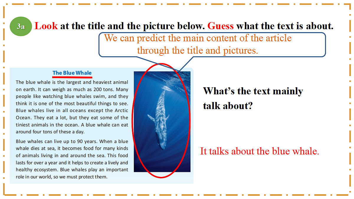 Unit 4 Amazing Plants and Animals Section B（3a-3c） - 八年级英语上册 同步教学课件（人教版2024）第4页