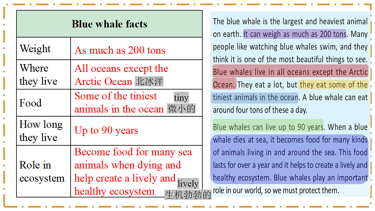 Unit 4 Amazing Plants and Animals Section B（3a-3c） - 八年级英语上册 同步教学课件（人教版2024）第8页