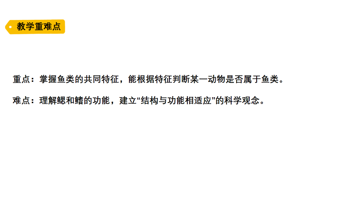 18481371第3页