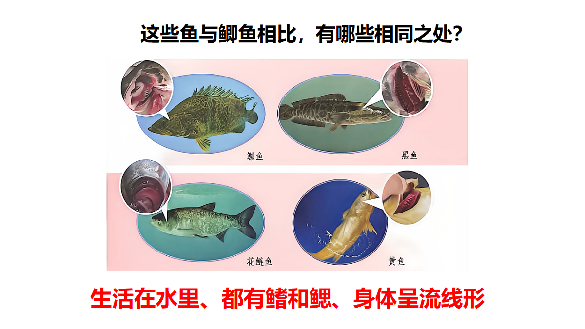 18481371第6页