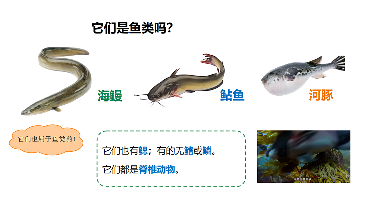 18481371第7页