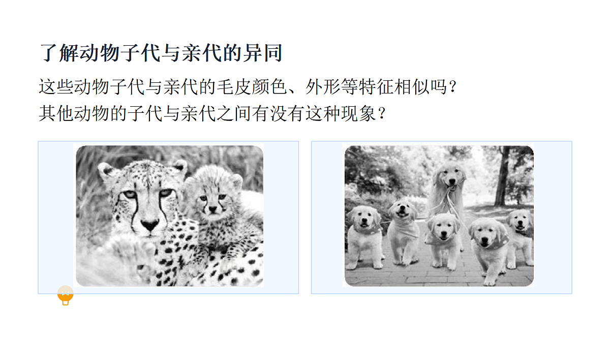 18482065第6页